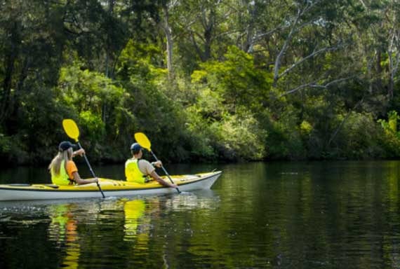 Lane-Cove-Holiday-Park-4