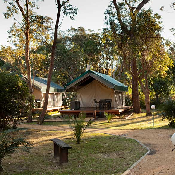 Safari-Tents-3