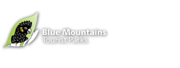 bluemountainsTP-logo_0-1
