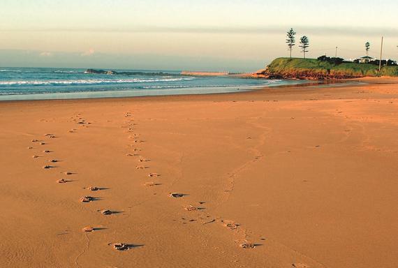 Home - Bulli Beach​ Tourist Park