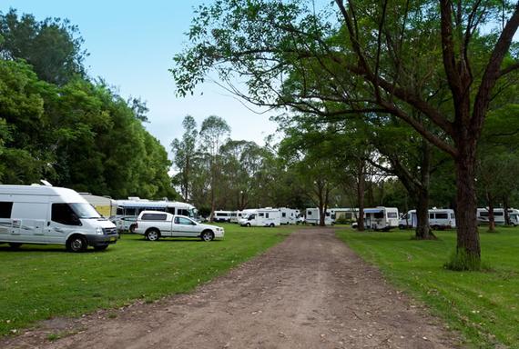 Gloucester - motorhomes and other vans parked in a field with trees