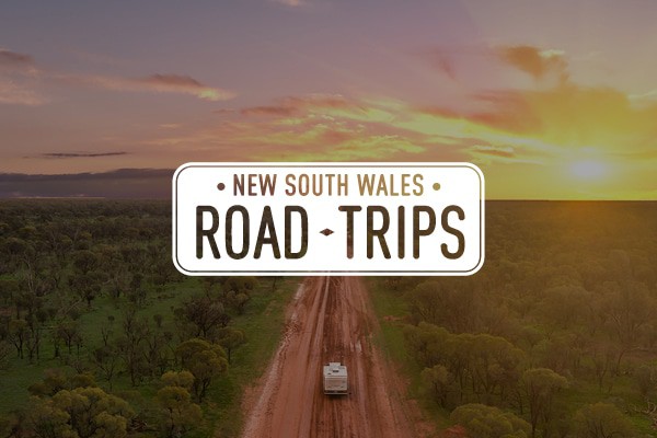 trip planner nsw driving