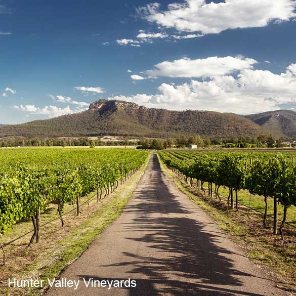 Hunter-Valley-3