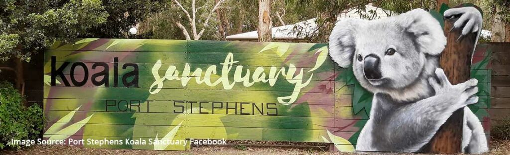 Port Stephens Koala Sanctuary now open