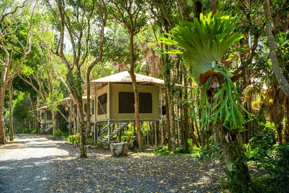 3 glamping tents in a row (on metal poles)