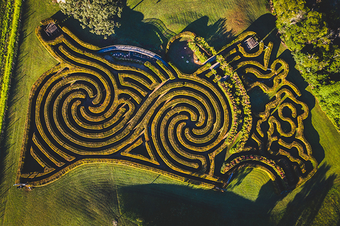 Bago Maze and Winery, Wauchope
