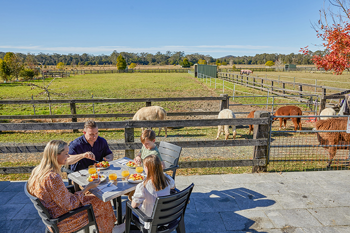Iris Lodge Alpacas, Jilliby
