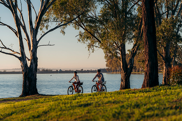 Reflections Wilderlux