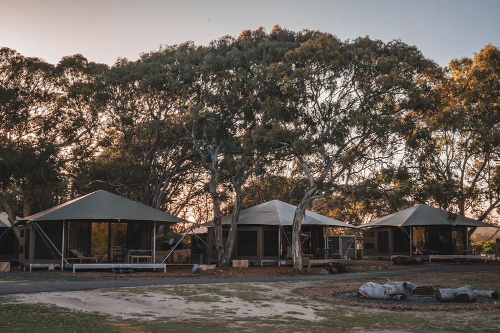 Tathra Beach Eco Camp