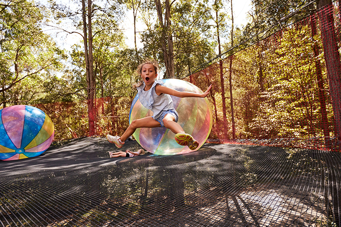 TreeTops Central Coast, Wyong Creek