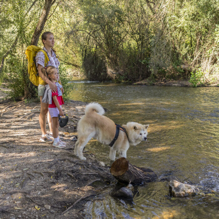 Mother and daughter, wearing backpacks, standing at the riverbank with their dog, enjoying a refreshing moment together immersed in a beautiful natural forest environment
